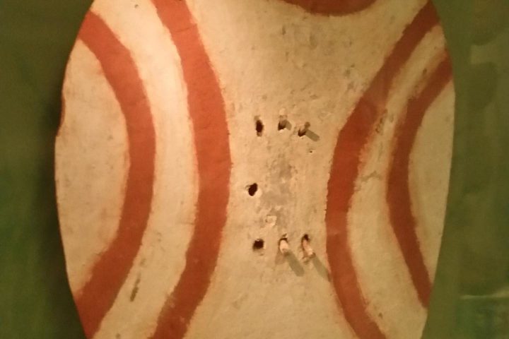 a close up of a horse