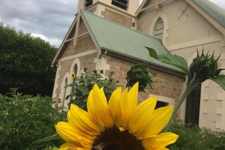 a vase of flowers sitting on top of a building