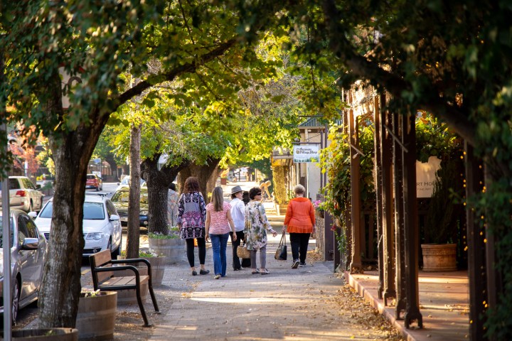 a group of people walking down a street next to a tree