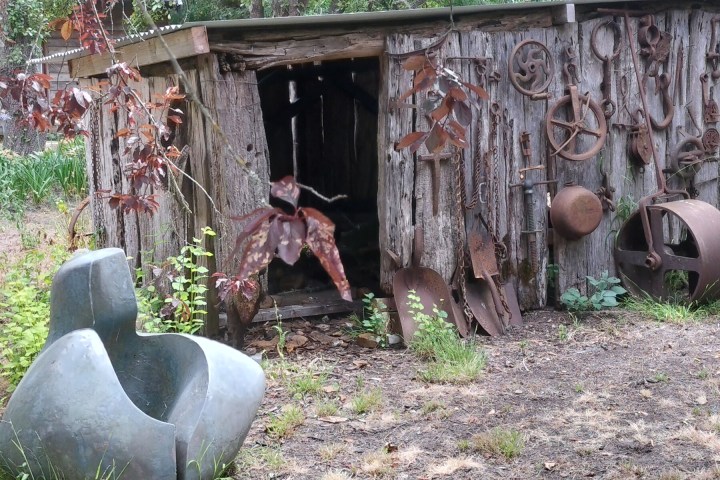 a person sitting in a yard